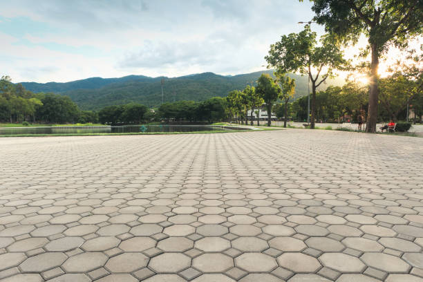 Best Professional Driveway Pavers  in Basehor, KS